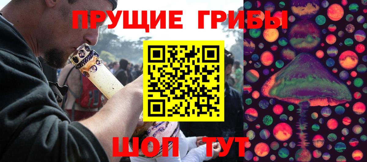 Псилоцибиновые грибы мицелий Киселёвск