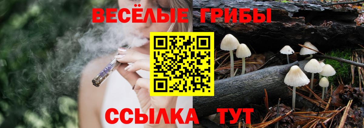 Псилоцибиновые грибы Cubensis  Вход с VPN  Киселёвск 