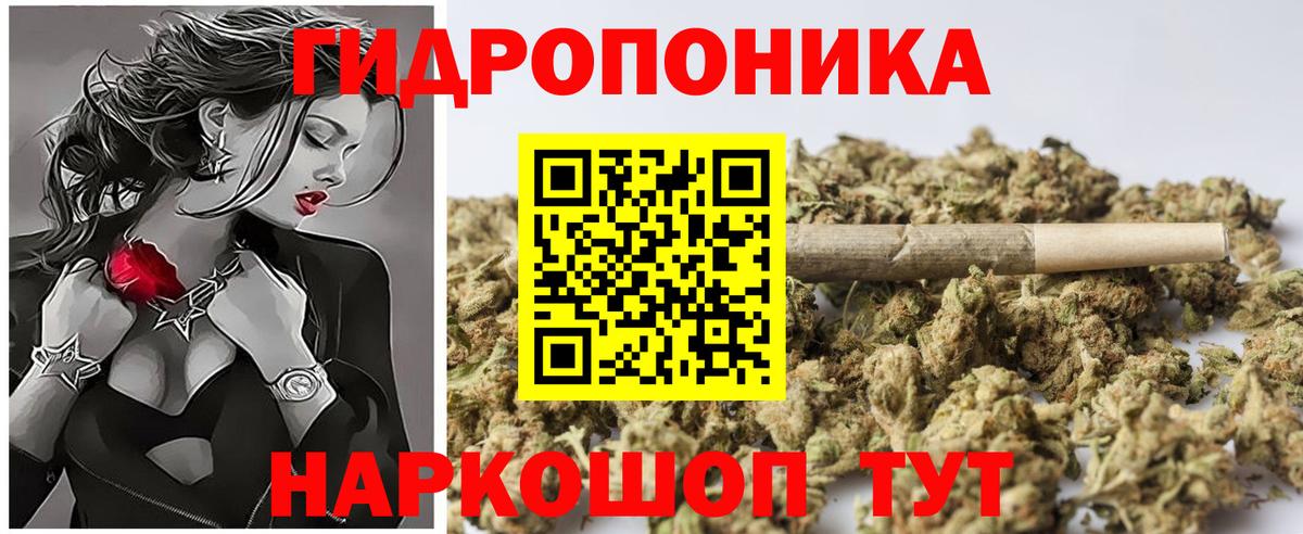 Марихуана OG Kush  Вход с VPN  Марихуана семена  Киселёвск  МАРИХУАНА ГИДРОПОН 